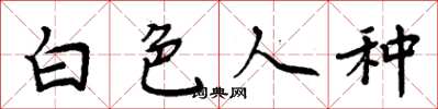 周炳元白色人种楷书怎么写
