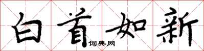周炳元白首如新楷书怎么写