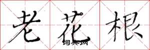 黄华生老花根楷书怎么写
