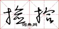 王冬龄捡拾草书怎么写
