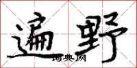 周炳元遍野楷书怎么写