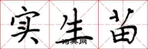 周炳元实生苗楷书怎么写