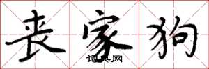 周炳元丧家狗楷书怎么写