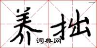 周炳元养拙楷书怎么写