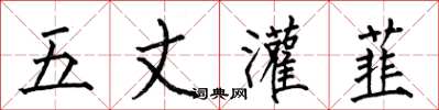 何伯昌五丈灌韮楷书怎么写