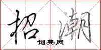 田英章招潮行书怎么写