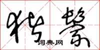 王冬龄猪鬃草书怎么写