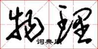 刘少英物理草书怎么写
