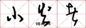 刘少英小火者草书怎么写
