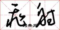 刘少英飞射草书怎么写