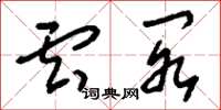 刘少英云阁草书怎么写