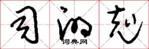 刘少英司的克草书怎么写