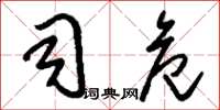 刘少英司危草书怎么写