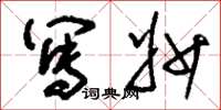 刘少英写妙草书怎么写