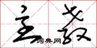 刘少英主教草书怎么写