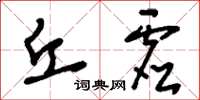 刘少英丘虚草书怎么写