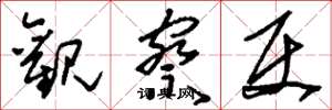 刘少英观察使草书怎么写