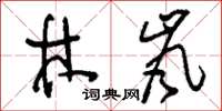 刘少英林岚草书怎么写