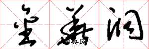 刘少英金华洞草书怎么写