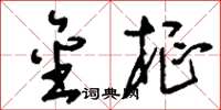 刘少英金枢草书怎么写