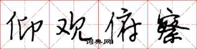 段相林仰观俯察行书怎么写