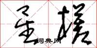刘少英星槎草书怎么写