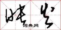 刘少英映火草书怎么写