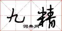 段相林九精行书怎么写