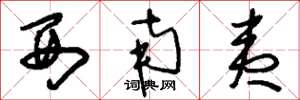 刘少英西南夷草书怎么写