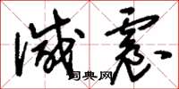 刘少英减震草书怎么写
