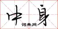 段相林中身行书怎么写