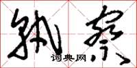 刘少英孰察草书怎么写
