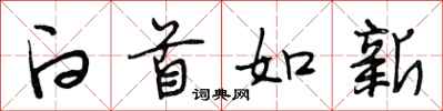 段相林白首如新行书怎么写
