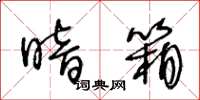 王冬龄暗箱草书怎么写