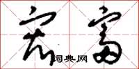 刘少英宏富草书怎么写