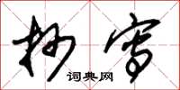 朱锡荣抄写草书怎么写