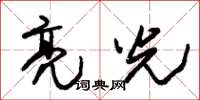 朱锡荣亮光草书怎么写