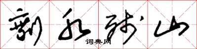 朱锡荣剩水残山草书怎么写