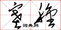 刘少英塞种草书怎么写