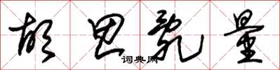 朱锡荣胡思乱量草书怎么写