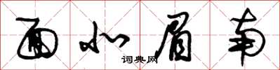 朱锡荣面北眉南草书怎么写