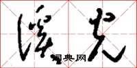 刘少英溪光草书怎么写
