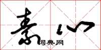 朱锡荣素心草书怎么写