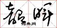 刘少英韶晖草书怎么写