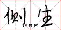 段相林侧生行书怎么写