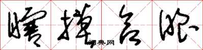 刘少英瞎摸合眼草书怎么写