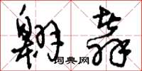 刘少英翱翥草书怎么写