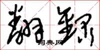 刘少英翻录草书怎么写