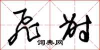 朱锡荣飞射草书怎么写