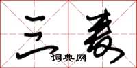 朱锡荣三麦草书怎么写